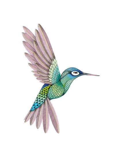 COLIBRÍ