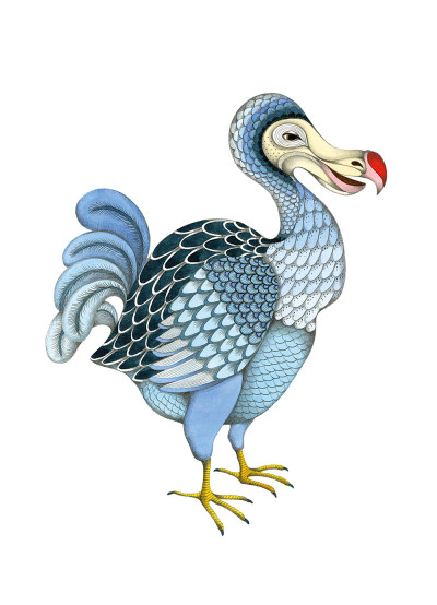 DODO